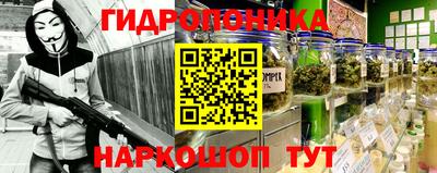 стаф Заводоуковск