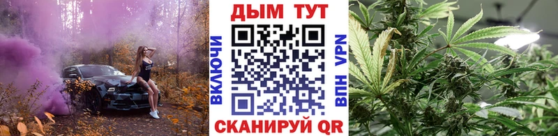 Конопля марихуана  блэк спрут маркетплейс  Мирный  купить наркотики цена 