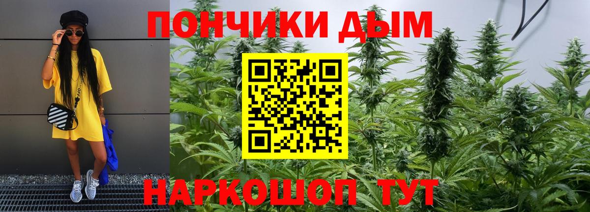 МАРИХУАНА ГИДРОПОН  Каннабис семена  Бошки Шишки AK-47  Вход с VPN  Мирный 
